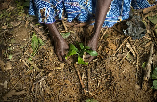 Cameroon: Climate Change Affects Population Income by 59%