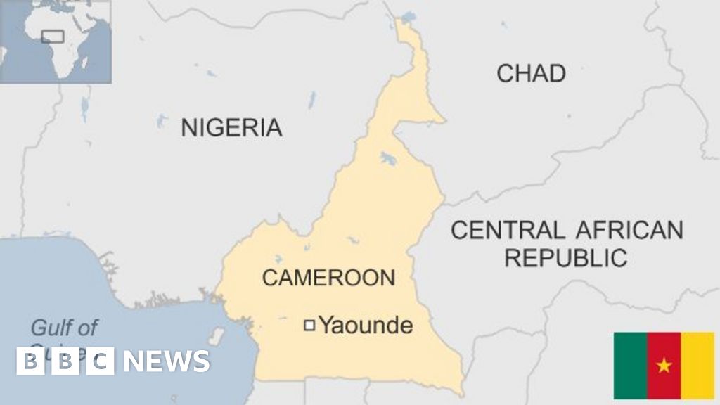 Cameroon country profile