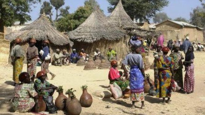 Cameroon Approves $161 Million African Development Bank Loans for Far North Jobs Project