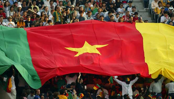 Cameroon Moves to Cut Food Imports with Cassava and Palm Oil Investment Deals