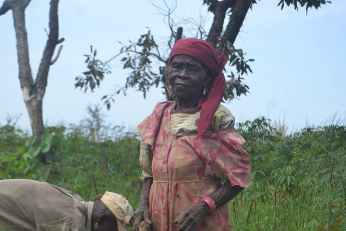 To replace Western food imports, Cameroon gives community lands to &lsquo;no-name&rsquo; agro-industry