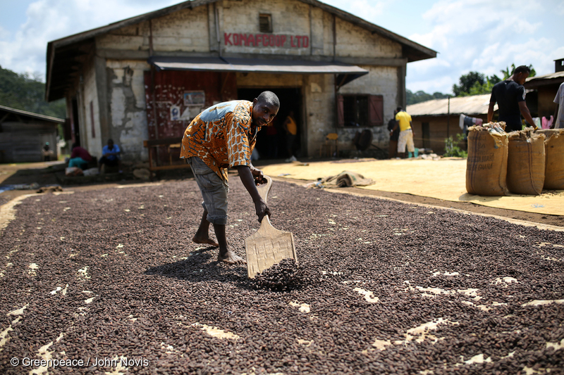 Cameroon aims to double cacao, coffee production, yet also save forests