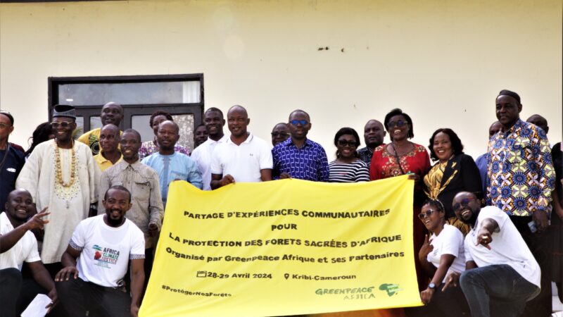 Cameroon&rsquo;s push for agricultural expansion devastates Indigenous communities and wildlife